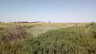 ГТС водохозяйственного объекта согласно учетной карточке № 1733003 Балка Салантырь, кадастровый номер 61:33:0600002:404 Общее техническое состояние гидротехнического сооружения оценивается как работоспособно (продолжает выполнять заданные функции), но неисправно; неудовлетворительное состояние…