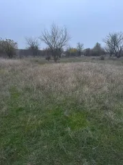Земельный участок, площадью 500 +- 8 кв. м., с кадастровым номером 61:45:0000414:1287, расположенный по адресу: Российская Федерация, Ростовская область, г. Азов, юго-западная часть города в районе ул. Победы.