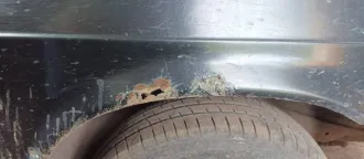 ВАЗ 2115, 2007 года, 81 л.с., 300000 км. Автомобиль ВАЗ 21154, цвет: графитовый металлик, регистрационный знак: А602ЕМ142, VIN: XTA21154074390817. Проверить, находится ли автомобиль на ходу, не представилось возможным на момент осмотра. Кузов проржавел, имеются сколы, вмятины, отслоения…