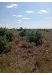 Земельный участок 6768000 кв.м, Ставропольский край, Нефтекумский р-н 2/14 доли земельного участка в Ставропольском крае еще 2/14 доли земельного участка в Ставропольском крае еще 2/14 доля в праве на земельный участок, площадь: 6 768 000 кв.м., адрес (местонахождение): Ставропольский край, р-н…