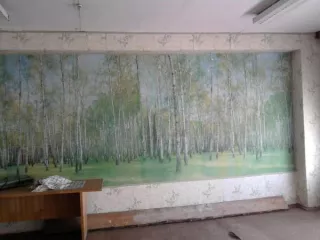 Помещение площадью 111,30  кв.м. адрес (местонахождение) объекта:  646940, Омская обл, Оконешниковский р-н, Оконешниково рп, Кирова ул, дом № 18 Помещение площадью 111,30  кв.м. адрес (местонахождение) объекта:  646940, Омская обл, Оконешниковский р-н, Оконешниково рп, Кирова ул, дом № 18 
Общая…