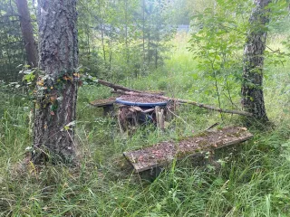 Земельный участок 750 кв.м Московская область для индивидуального садоводства. Местоположение установлено относительно ориентира, расположенного в границах участка. Почтовый адрес ориентира: обл. Московская, р-н Талдомский, д. Кушки. Кадастровый номер 50:01:0060351:34