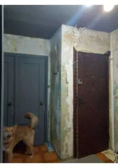 1/5 доля квартиры 40,4 кв.м. в Мурманской области, еще 1/5 доля в праве на жилое помещение, площадь: 40,4кв.м., адрес (местонахождение): Мурманская область, р-н. Ковдорский, г. Ковдор, ул. Ленина, д. 14, кв. 94, кадастровый номер: 51:05:0010203:1237 В имуществе имеются доли, принадлежащие…