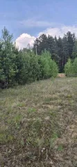 Земельный участок 1006 кв.м. в Свердловской области, г. Заречный, восточнее д. Гагарка, кадастровый (условный) номер: 66:42:0201003:1772, вид собственности: индивидуальная.