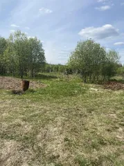 Земельные участки, 52 310 кв. м, Ярославская обл., Переславский р-н, ДНП «Союз дачников» (16 поз.) - 52 310 +/- 162 кв. м, адрес: Ярославская обл., Переславский р-н, с/о Глебовский, вблизи дер. Большое Пальцино, земли сельскохозяйственного назначения - для ведения дачного хозяйства.