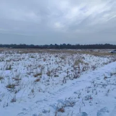 Земельный участок площадью 978 кв. м, кадастровый номер 03:06:560101:2801, категория земель - земли населенных пунктов, вид разрешенного использования — для индивидуальной жилой застройки. Местоположение установлено относительно ориентира, расположенного в границах участка. Почтовый адрес…