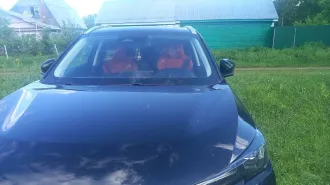 Changan CS55, 2023, VIN: LS4ASE2E7RA923069. Находится в залоге у АО Банк Инго. На имущество наложены ограничения в виде запрета на регистрационные действия. Недостатки: вмятины на боковых поверхностях двери, царапина на зеркале, сколы на лобовом стекле. Ознакомление с имуществом осуществляется по…