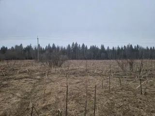 Земельный участок с кадастровым номером 69:10:0000037:1691, площадью 1 077 кв.м., местоположение: Тверская область, Калининский район, Верхневолжское с/п, с.Петровское.