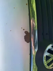 Volkswagen Passat 2006 года, 150 лс, пробег 260135 км, АКПП, цвет серебристый. VIN: WVWZZZ3CZ7P073109. Госномер: О895СО69. Дата регистрации 16.07.2024.