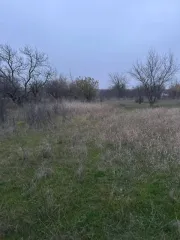 Земельный участок, площадью 500 +- 8 кв. м., с кадастровым номером 61:45:0000414:1287, расположенный по адресу: Российская Федерация, Ростовская область, г. Азов, юго-западная часть города в районе ул. Победы.