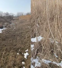 Земельный участок площадью 2400 кв.м. Местоположение установлено относительно ориентира: Краснодарский край, Щербиновский район, станица Старощербиновская, улица Комсомольская, 24. Кадастровый номер: 23:36:0707034:157. Граница земельного участка не установлена в соответствии с требованиями…