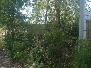 Земельный участок площадью 1000 кв.м, расположенный по адресу: Российская Федерация, Ростовская область, городской округ город Волгодонск, город Волгодонск, ул. Дружбы, земельный участок 2и. Кадастровый номер: 61:48:0040257:1212. Категория земель: земли населенных пунктов. Вид разрешенного…