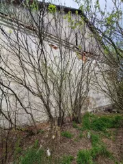 Нежилое здание с кадастровым номером 61:06:0060309:91 площадью 145,6 кв. м., расположенное по адресу: Ростовская область, Веселовский р-н, х. Красный Кут, ул. Школьная, 1 иземельный участок с кадастровым номером 61:06:0060308:1 площадью 608 кв. м., расположенный по адресу: Ростовская область…