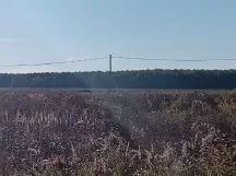 Лот № 27. Земельный участок площадью 952 +/  22 кв.м. кад. № 50:33:0020418:893, расположенный по адресу: Московская область, Ступинский район, Аксиньинское сельское поселение, вблизи д. Ламоново, участок находится в юго западной части кадастрового квартала 50:33:0020418
