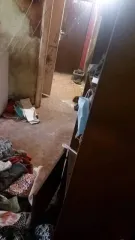 1/4 доли квартиры 47.8 кв. м в Тульской области, г. Новомосковск, ул. Олимпийская, д. 3а, кв. 62. Назначение: жилое, этаж 1. Кадастровый номер: 71:29:010702:581.