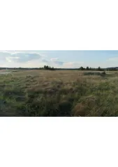 Грузовой автомобиль МАН 2015 года выпуска