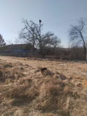 Земельный участок 3300 кв.м в Приморском крае, Ханкайский район, село Новокачалинск, улица Калинина, 6. Кадастровый номер: 25:19:010401:1226.