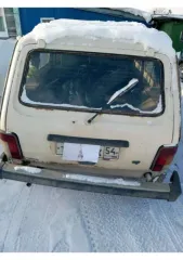 VAZ 2131 (4x4), 1996 Vaz 2131 (4x4), 1996 года, 75 лс, 145648 км, полный привод еще Vaz 2131 (4x4), 1996 года, 75 лс, 145648 км, полный привод еще Легковой автомобиль, марка: ВАЗ 21310, год изготовления: 1996, цвет: сафари, VIN: XTA213100T1198743, ПТС: 54МН449560, г/н: ВАЗ 21310, разрешенная…
