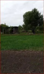 Земельный участок 893 кв.м, Орловская обл., адрес: Российская Федерация, Орловская область, муниципальный округ Орловский, сельсовет Большекуликовский, СНТ "Разуваевские pруды", линия 3, земельный участок 8, категория земель: Земли сельскохозяйственного назначения, разрешенное использование…