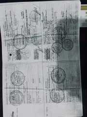 Hyundai Solaris 2011 года выпуска, легковой. ГРЗ А 995 СК 164, VIN: Z94CT41DABR060854.