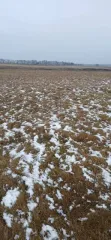 1/5 доли земельного участка 2550 кв.м. с КН 02:44:181001:55 по адресу: Республика Башкортостан, р-н. Стерлитамакский, с/с. Октябрьский, с. Октябрьское, ул. Маннанова, д. 23, категория - Земли населенных пунктов, ВРИ - Индивидуальное жилищное строительство