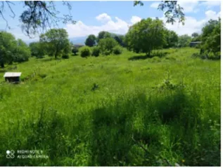 Земельный участок для индивидуальной жилой застройки, площадью 600+/-17 кв.м., кадастровый номер 20:09:3700068:1117. Основной вид разрешенного использования: 2.0. Регистрационный номер ЕГРОКН: