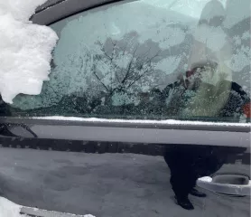 Движимое имущество Автомобиль Марка, модель ТС: Опель Корса Наименование  тип ТС : Легковой хетчбэк Год выпуска 2007 Цвет кузова  кабины, прицепа : черный Разрешенная максимальная масса, кг.: 1615 Масса без нагрузки, кг.: 1100 Государственный регистрационный номер: К177АУ196 Пробег, км. 230000 Лот…