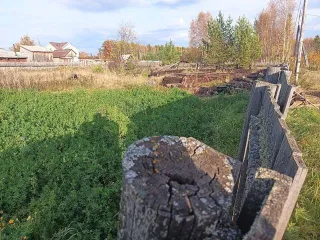 Земельный участок 1200 кв.м, Иркутская обл., Братский р-н, п. Зяба, ул. Майская, д. 6. Назначение: земли населённых пунктов. Кадастровый номер: 38:02:040401:37. Находится в совместной собственности.