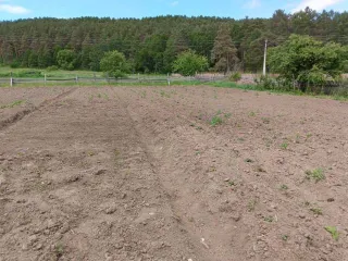 Доля здания 76.8 кв.м и участка 3703 кв.м Амурская область 1/5 доля здания, площадь 76.8 кв.м., назначение: жилое, количество этажей: 1, адрес (местонахождение): Россия, Амурская область, р-н Магдагачинский, с Черняево, ул Подгорная, д 20, кадастровый (условный) номер: 28:16:013901:1259. 1/5 доля…