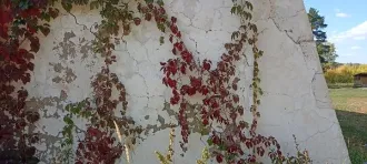 Земельный участок 450 кв.м и здание 278,8 кв.м, Пермский край, Куединский м.о. Земельный участок площадью 450 кв.м с кадастровым номером 59:23:0931006:17, с расположенным на нем объектом недвижимого имущества – здание, по адресу: Пермский край, м.о. Куединский, с. Старый Шагирт, ул. Школьная, д. 1…