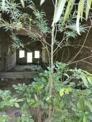 Нежилое здание площадью 97,8 кв. м, кадастровый номер 27:23:0041012:35, местонахождение: Хабаровский край, г. Хабаровск, ул. Батумская. Нежилое здание площадью 97,8 кв. м, кадастровый номер 27:23:0041012:35, местонахождение: Хабаровский край, г. Хабаровск, ул. Батумская. Собственник - Нахапетян…