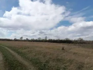 Земельный участок, площадью 746+/-10 кв.м., кадастровый номер 19:01:130501:1073, расположенный по адресу: РОССИЯ, Республика Хакасия, городской округ город Абакан, город Абакан, Территория СОСН Колягинские холмы-Колягино-1, улица Пихтовая, земельный участок 23А.