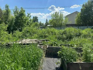 Земельный участок площадью 643 м.кв., с кадастровым номером 54:35:071421:111, расположенный по адресу: Новосибирская обл., г. Новосибирск, СНТ «Рассвет», д. 156