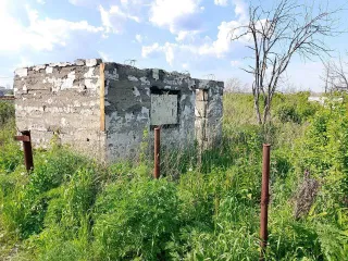 Конечно, пришлите текст объявления, и я его оптимизирую согласно вашим требованиям.