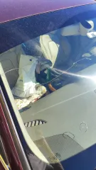 Audi A5 2010 года выпуска, VIN: WAUZZZ8T6BA016939. В залоге у банка.