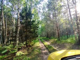 Земельный участок, 495300 кв.м, Нижегородская область, Сокольский район Имущество АО «КАПИТАЛ АСИСТАНС»: земельный участок, кадастровый номер 52:07:0800006:1592, 495300 кв.м. Земельный участок для индивидуального жилищного строительства, земли населенных пунктов, кадастровый номер…