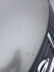 Легковой автомобиль Nissan Juke, 2011 г.в., регистрационный знак Е734НХ125, номер двигателя HR15 187267C, номер кузова YF15031686, цвет серый, 114 л.с.