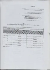 Земельный участок, 1301 кв.м, вид разрешенного использования 2.2. Основной вид разрешенного использования: 2.2. Площадь земельного участка в соответствии с проектом межевания территории или со схемой расположения: 1301
