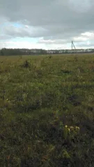 1/5 доля земельного участка площадью 1500 кв.м. Адрес: Тамбовская область, Мичуринский район, Заворонежский сельсовет, село Заворонежское, улица Серебряная, земельный участок 22. Кадастровый номер: 68:07:2705009:256. Земельный участок без зданий и сооружений. Назначение: для индивидуального…