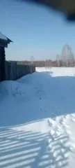 1/2 доли дома и участка, Сосновоборский р-н, Пензенская обл.; 35 кв.м 1/2 доля дома и 1/2 доля земельного участка в Пензенской обл. еще 1/2 доля дома и 1/2 доля земельного участка в Пензенской обл. еще Жилой дом, назначение: жилое, количество этажей 1, общая площадь 35 кв. м., адрес…