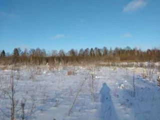 Земельный участок, 370086 +/- 213 кв.м, кадастровый 18:08:006001:1001, Удмуртская Республика, Завьяловский район.