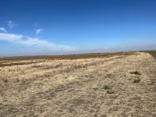 земельный участок площадью 12 304 кв.м., категория земель: земли сельскохозяйственного назначения, для ведения крестьянского (фермерского) хозяйства, кадастровый № 61:02:0600017:2921, должник Громенко И.Н., (Поручение ТУ Росимущества в РО от 29.04.2025 № 61-615-У). Адрес (местоположение)…