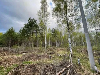 Земельный участок кадастровый номер 69:32:0000020:1033 вид собственности общая совместная собственность супругов адрес местоположение установлено относительно ориентира расположенного за пределами участка почтовый адрес ориентира Тверская область р-н Старицкий с/п "Паньково" д Знаменка ул…