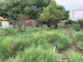 Земельный участок 300 кв.м. Астраханская область, кадастровый номер 30:02:020401:89, ВРИ – для ведения личного подсобного хозяйства, расположен по адресу: Астраханская область, Володарский район, с. Кошеванка, ул. Береговая, 40.