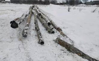 4 хлыста породы «осина» (дрова осиновые код ОКПД 2 02.20.14.118) (1,76 куб.м.) и 2 хлыста породы «береза» (дрова березовые 02.20.14.117) (1,34 куб.м.) (Уведомление от 28.12.2023 № 09 Д / Уведомление ОМВД России по Малмыжскому району от 27.12.2023 № 8374) (реализация в качестве дров) 4 хлыста породы…