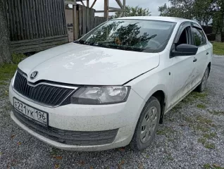 Skoda Rapid, 2017 г.в., VIN XW8AG2NH9HK126355, ГРЗ Е231УК196