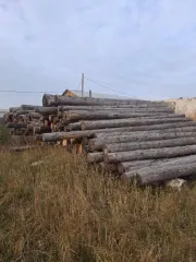Лес кругляк лиственницы 146 м3