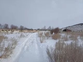 Объекты недвижимого имущества, расположенные на земельном участке площадью 27480 кв.м. с кадастровым номером 45:07:030502:228: здание свинарника, назначение: нежилое, кадастровый номер 45:07:030502:213, площадью 1353,8 кв.м., количество этаже 1  здание свинарника, назначение: нежилое, кадастровый…
