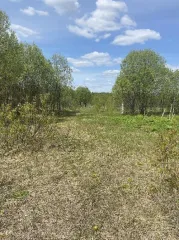 Земельные участки, 52 310 кв. м, Ярославская обл., Переславский р-н, ДНП «Союз дачников» (16 поз.) - 52 310 +/- 162 кв. м, адрес: Ярославская обл., Переславский р-н, с/о Глебовский, вблизи дер. Большое Пальцино, земли сельскохозяйственного назначения - для ведения дачного хозяйства.