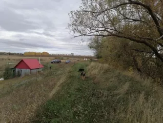 Право аренды земельного участка с кадастровым номером 64:19:080104:18 площадью 160 271 кв. м, расположенного по адресу: Саратовская область, Лысогорский район, в 1 км 375 м севернее села Чадаевка.